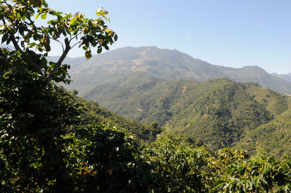 Guatemala